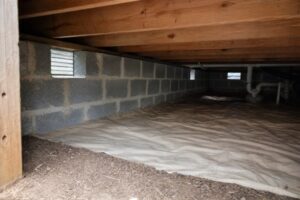Does a Cabin Need a Crawl Space? Structural and Building Science Considerations — Own Cabin